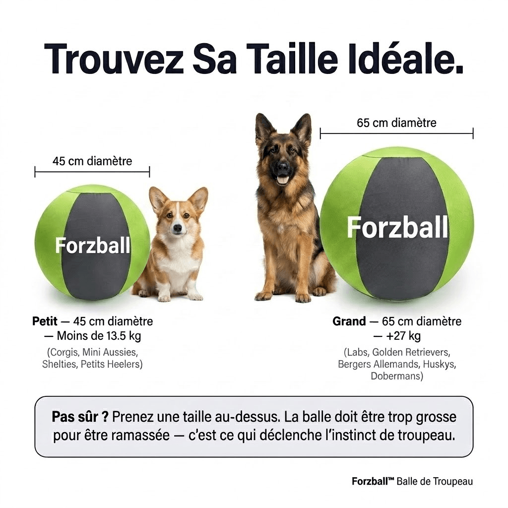 Forzball™