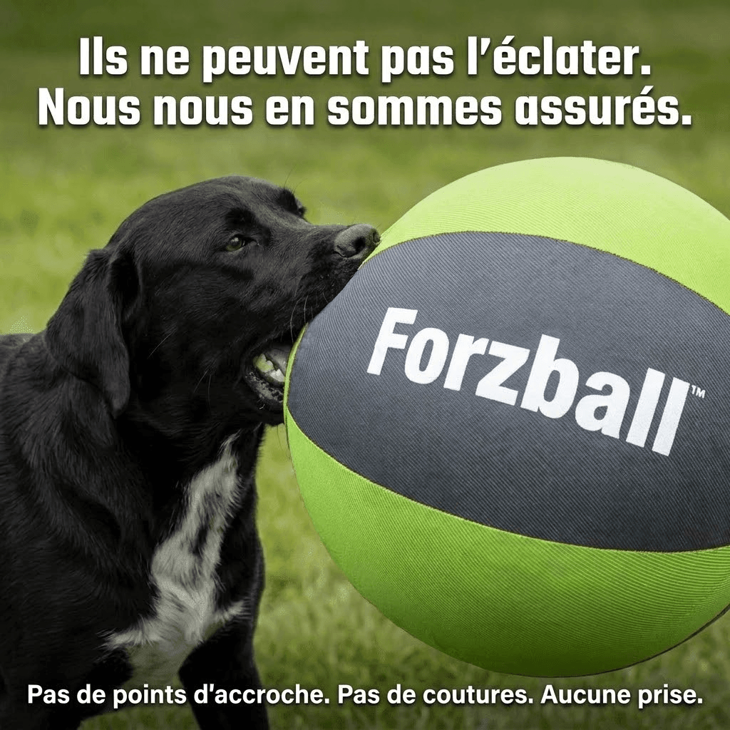 Forzball™