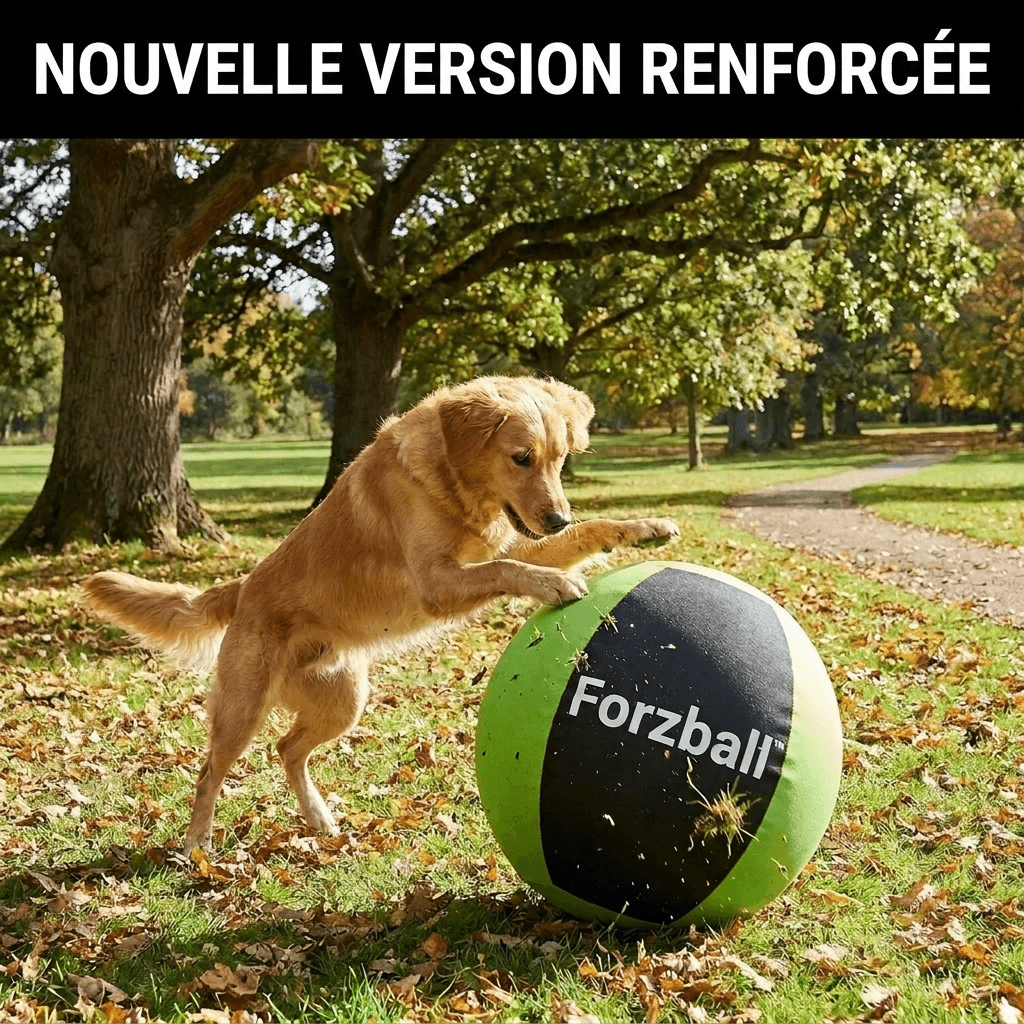 Forzball™