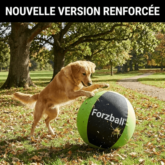 Forzball™