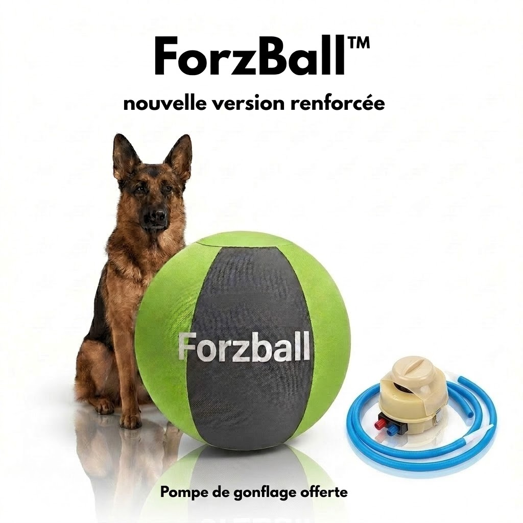 Forzball™