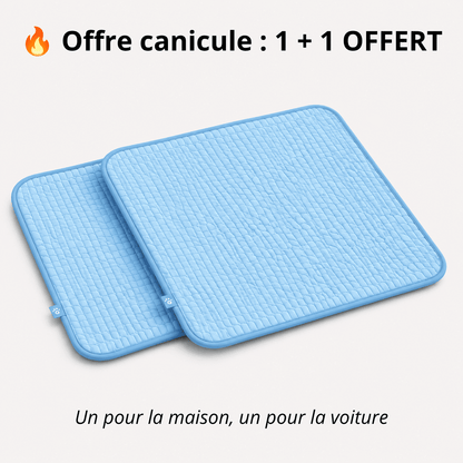 Tapis Rafraîchissant Iceflow™
