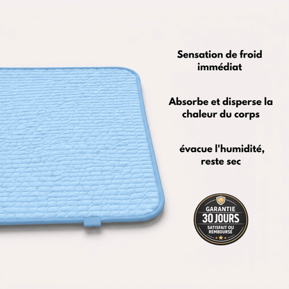 Tapis Rafraîchissant Iceflow™